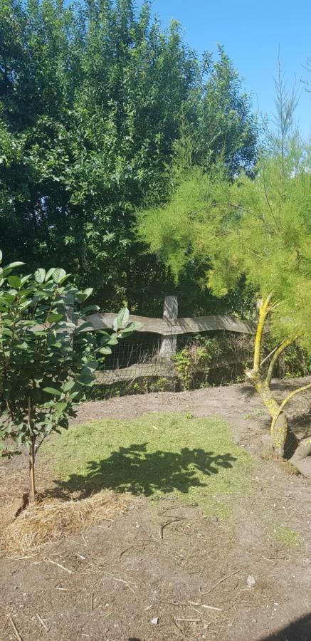 Oye-PlageL Hyppo Camp'住宿加早餐旅馆 外观 照片